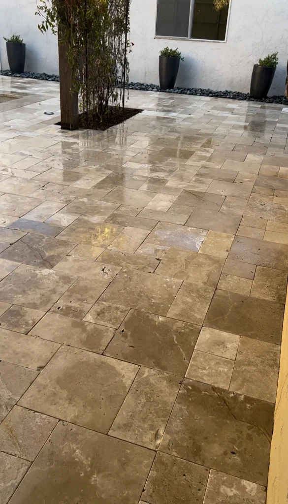 TJ Landscape transformation