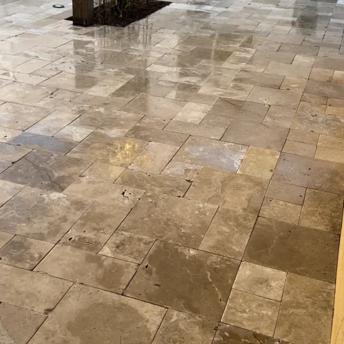 TJ Landscape transformation