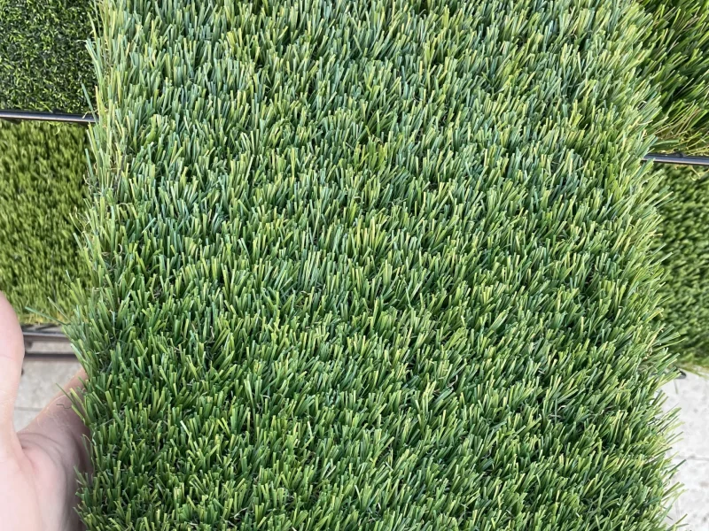 TJ Landscape
