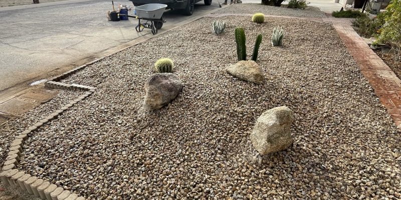 Best Desert Plants