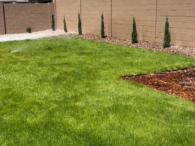 grass sod TJ landscape